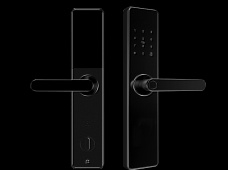 青松沃德-Wi-Fi 指紋鎖家用防盜門智能門鎖密碼鎖刷卡電子鎖 防磁干擾 防撬 L9-WT (不含鎖體，鎖體需另購）